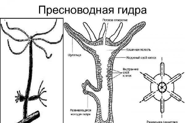 Сайт blacksprut на торе ссылка