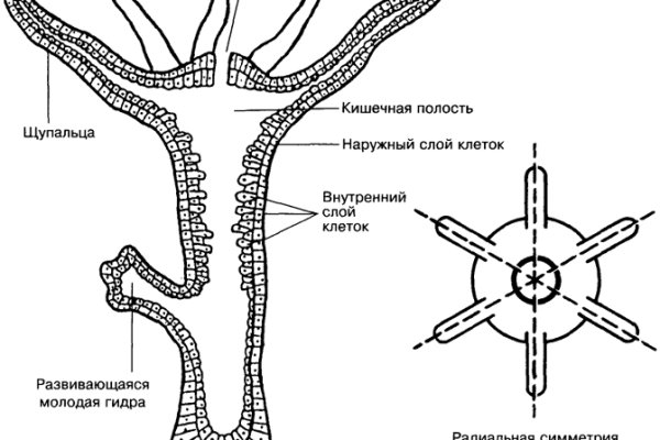 Актуальные ссылки bs blacksprut adress com