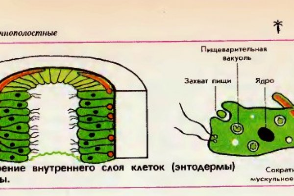 Блэк спрут ссылка blacksprute com