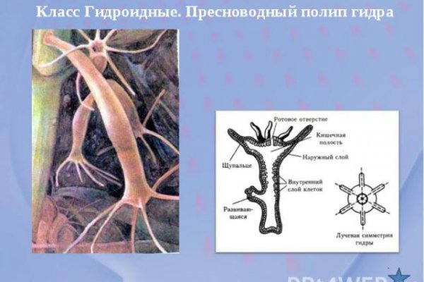 Sprut официальный сайт blacksprute com